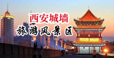 8x8xMD乱伦欧美日韩视频资源中国陕西-西安城墙旅游风景区
