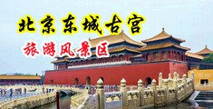 美女技师搞基巴视频中国北京-东城古宫旅游风景区